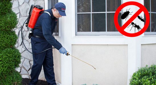 Bolvadin Dezenfeksiyon böcek ilaçlama ve haşere kontrolü — ilaclama-tr.com